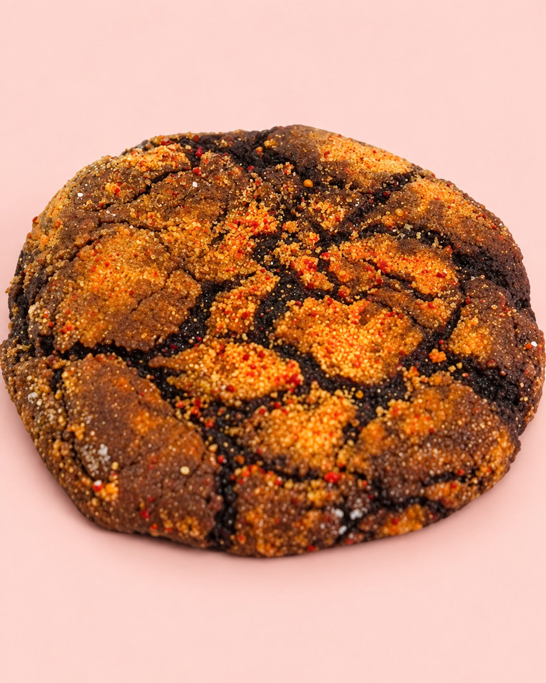 Chocolate butternut cookie